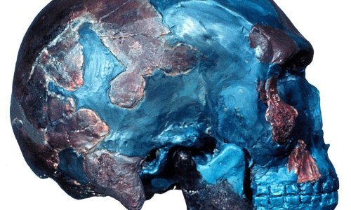 Homo sapiensi tumarali su Etiopijom prije 230 tisuća godina