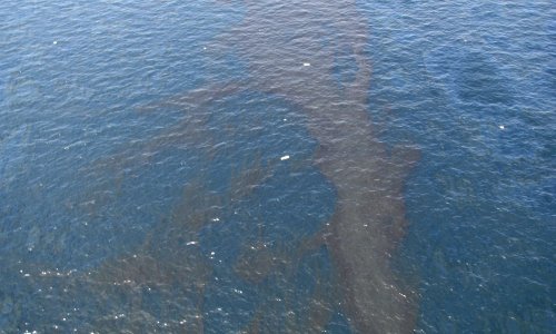 Nafta iz mrlje krenula prema Atlantiku