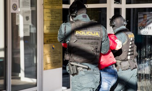 Uhićeni krijumčari oružja na jugu BiH, zaplijenjene veće količine naoružanja