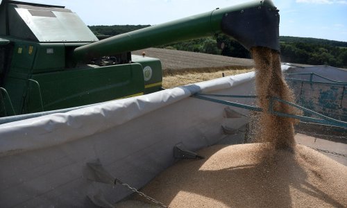 Cijene pšenice snažno porasle nakon ruskog napada na Ukrajinu