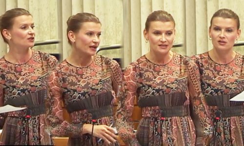 Sabina Glasovac pokazala odvažan stajling u Saboru