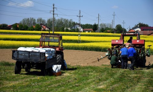 Ruska invazija prijeti globalnoj opskrbi hranom: 'Tamo se proizvodi trećina svjetske pšenice, petina kukuruza i 80 posto suncokretovog ulja'
