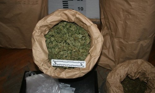 Kod mladića u Trogiru policija pronašla i zaplijenila pola kilograma marihuane