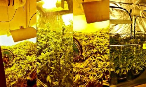 [FOTO/VIDEO] Muškarac u Dubravi cijelu kuću pretvorio u laboratorij za proizvodnju marihuane, policija otkrila gotovo šest kilograma droge