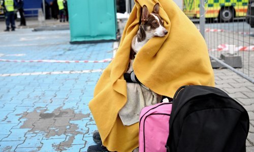 Europski pučani predlažu da se neiskorišteni EU fondovi preusmjere izbjeglicama iz Ukrajine