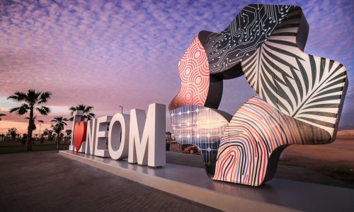Neom - zeleni grad kojemu ni naftne milijarde ne jamče ekološku 'ispravnost'