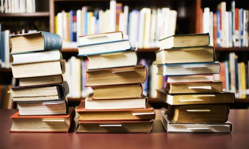 Knjižničarka u Babinoj Gredi sama i nema tko prenijeti knjige