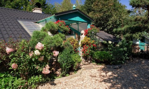 Ne znate koje biljke posaditi u vrtu? Ove vrste su najmanje zahtjevne, a neke od njih mjesecima cvjetaju