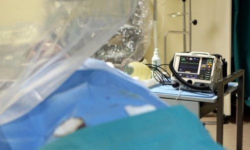 Umro prvi pacijent s presađenim genetski modificiranim srcem svinje