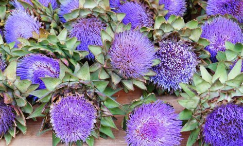 Lijepe i korisne: Ovo su jestive biljke s neodoljivim cvjetovima koje će biti ukras svakom vrtu