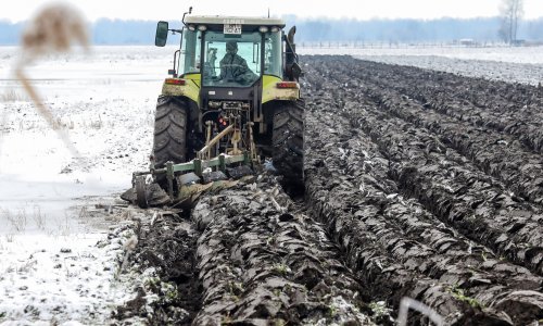 Država daje novac za obnovu poljoprivrednog zemljišta i proizvodnju, poznato tko se može prijaviti i koji se iznosi nude