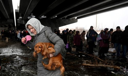 [VIDEO/FOTO] Ptice, hrčci, psi, mačke... Ukrajinci u bijegu od ruske invazije ne odvajaju se od svojih kućnih ljubimaca