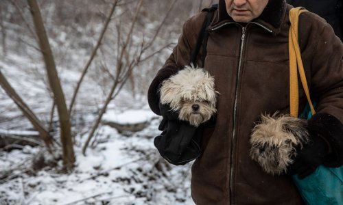 Prijatelji životinja: Ako možete, ponudite smještaj izbjeglicama s kućnim ljubimcima