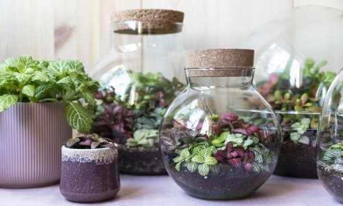 Ususret Uskrsu: Walden Plants predstavlja 'buketiće'