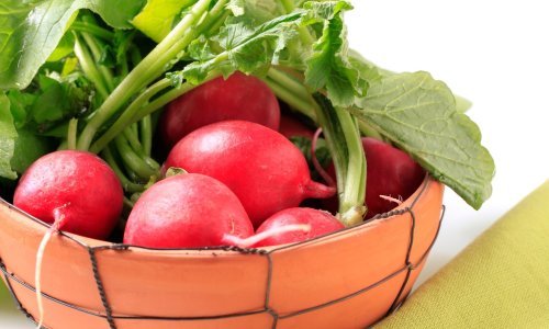Ne bacajte lišće rotkvica: Ono je ljekovito, ukusno i hranjivo, a evo kako ga najbolje iskoristiti