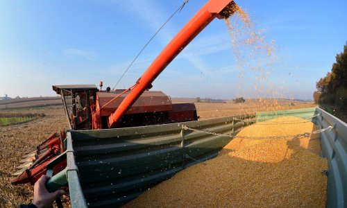 Španjolska zbog ruske invazije ostala bez kukuruza, planiraju interventnu nabavu iz Argentine i SAD-a