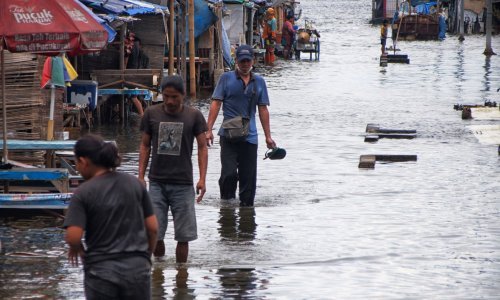 More raste sve brže, do 2050. bit će ugrožene stotine milijuna ljudi