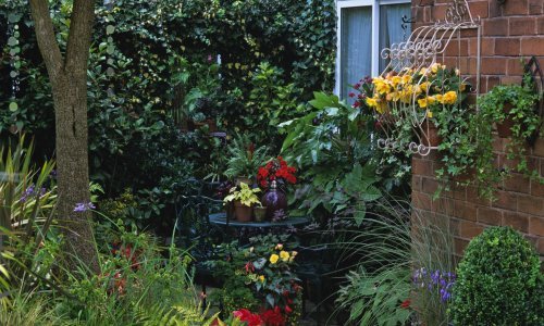 Vrtovi okrenuti na sjever poseban su izazov, no ove biljke će bez problema cvjetati u sjeni