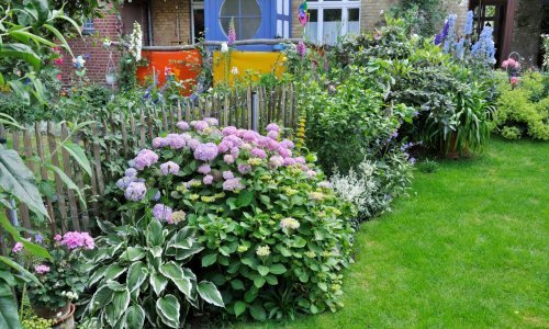Hortenzije su jedan od najljepših ukrasa u vrtu, a ovo je cvijeće najbolje saditi uz njih