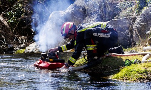 U Dalmaciji planulo nekoliko požara; vatra progutala šumu, travu, raslinje...