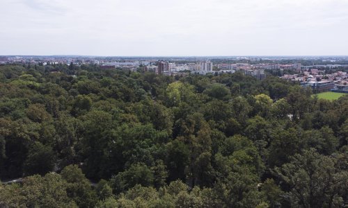 U Hrvatskoj gotovo 50 posto površine čine šume, najčešće bukva, hrast lužnjak i kitnjak te grab