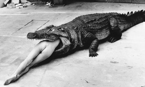 Dokukino KIC najavljuje Arteriju, filmski program o kontroverznim  umjetničkim osobnostima