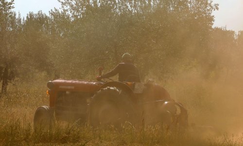 Potvrđena kazna muškarcu koji je s leđa ubio čovjeka kako bi mu uzeo traktor