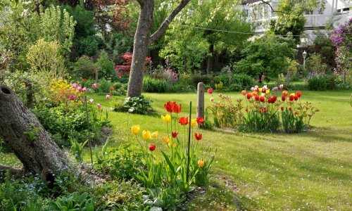 Prelijep proljetni vrt više je od tulipana i narcisa: Evo kako ga sami možete stvoriti