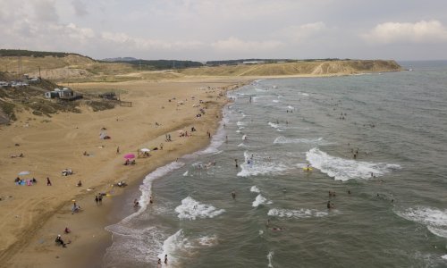 Strvine dupina pronađene na plaži u Istanbulu; stručnjaci sumnjaju da ima veze s ratom u Ukrajini