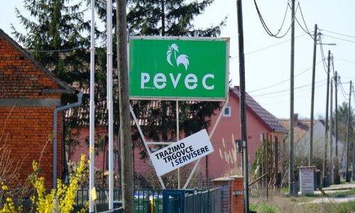 [FOTO] Veliki povratak Peveca, uskoro otvara prvu trgovinu pod starim logom pijetla