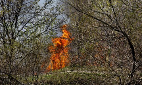 Požar prijeti kućama kod Livna, gori na desetine mjesta u Hercegovini