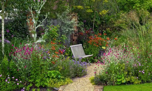 Spriječite ih na vrijeme jer u tren oka mogu zavladati vrtom: Evo kako prepoznati invazivne biljke i korov