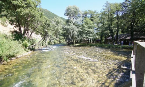 Bez pomaka u dogovoru o globalnom planu za očuvanje bioraznolikosti: Vidljivo je da se u vladama ne daje prioritet koji je potreban