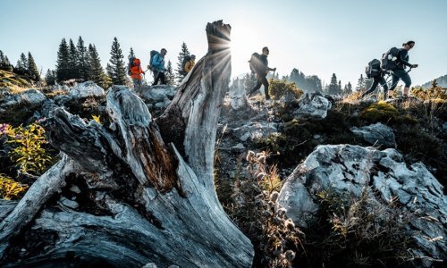 HIGHLANDER se šesti put vraća na Velebit, a očekuje se najveći broj sudionika dosad