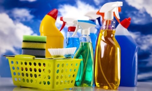 Influenseri(ce) skupljaju vojsku obožavatelja - čisteći kuću