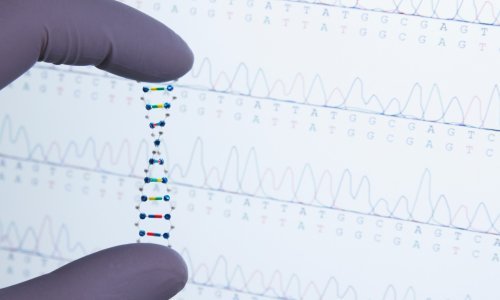 U potrazi za tajnama mutacija koje uzrokuju bolesti: Znanstvenici objavili prvi čitavi ljudski genom