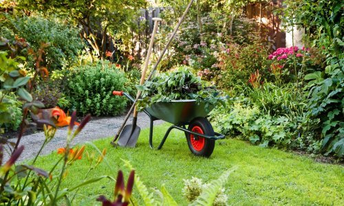 Jednostavan i prirodan način: Kako se riješiti čak i najgoreg korova u vrtu?