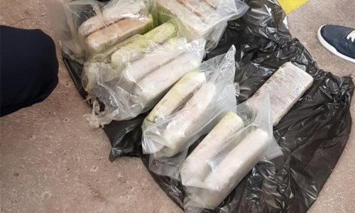 Dubrovački carinici na Kleku 'uhvatili' Albanca sa 7,4 kilograma heroina