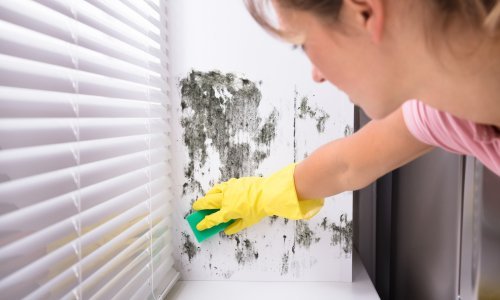 Našli ste plijesan na zidovima i pitate se što sad? Ovi savjeti bit će vam zlata vrijedni