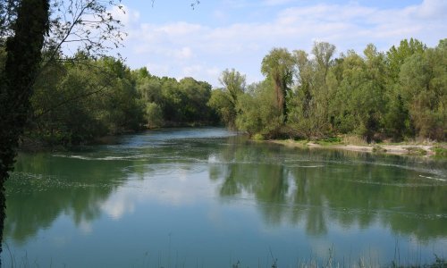 Obdukcijom tijela žene pronađenog u Muri nisu utvrđeni tragovi nasilja
