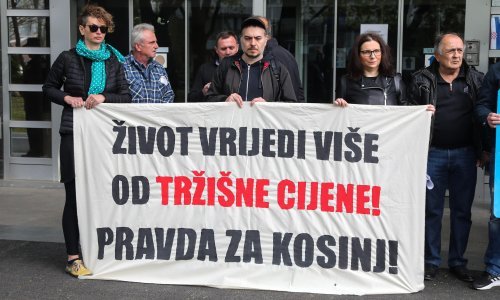 Kosinjani prosvjedovali protiv hidroelektrane jer je projekt ekološki neprihvatljiv