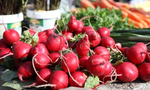 Inspektori nadziru usklađenost mladog luka i rotkvica s tržišnim standardima