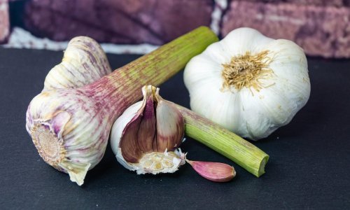 Obožavate jela sa češnjakom, ali ne volite koristiti kupovni? Uz malo strpljenja i volje zasadite svoj vlastiti