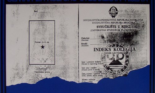 Izložba Zvonimira Pliskovca: Kockice, Bubice i slična stvorenja