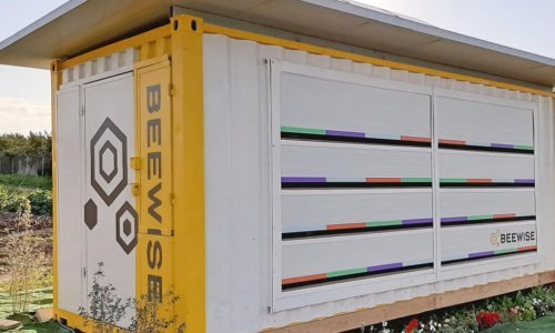 Pčelama u pomoć stiže umjetna inteligencija