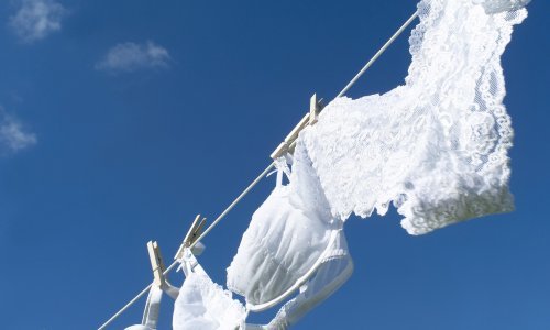 Znate li na koliko stupnjeva treba prati osjetljivo donje rublje od čipke i svile?