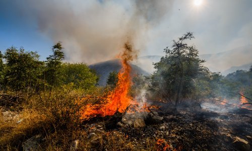 Jak vjetar otežava gašenje požara na području Živogošća, u akciju poslani svi raspoloživi vatrogasci sa šireg makarskog područja