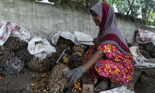 Krumpir ili kolači na palminu ulju? Europa je našla zamjenu za suncokret iz Ukrajine, ekološki aktivisti užasnuti 'horror' alternativom