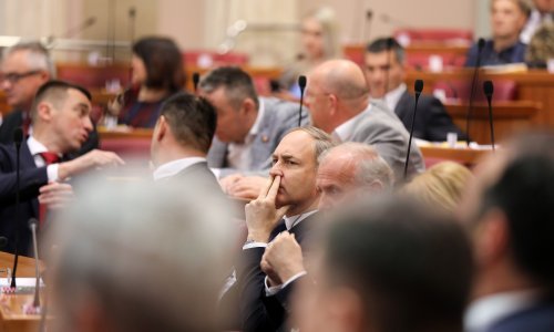 Sabor će raspravljati o izmjenama Zakona o poljoprivrednom zemljištu, u planu zabrana parcelizacije