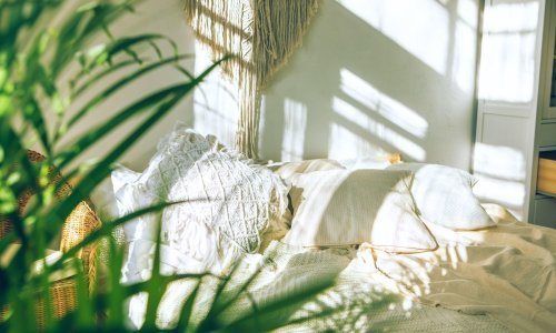 Zbogom dominaciji pampas trave? Ljubitelji interijera imaju novu omiljenu dekoraciju, a jednako je raskošna
